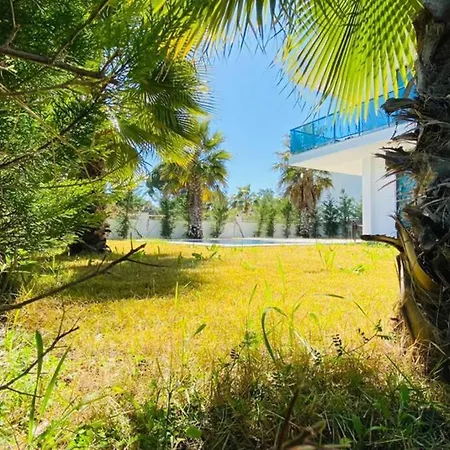 Best Private In With Amazing Design Villa